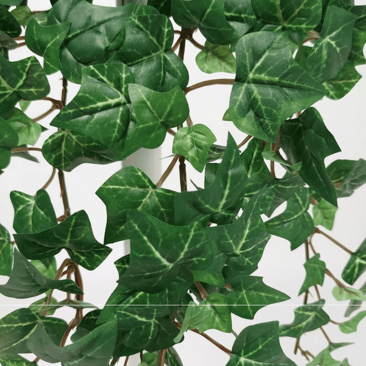 English Ivy Hanging Plant - Sutherland Interiors