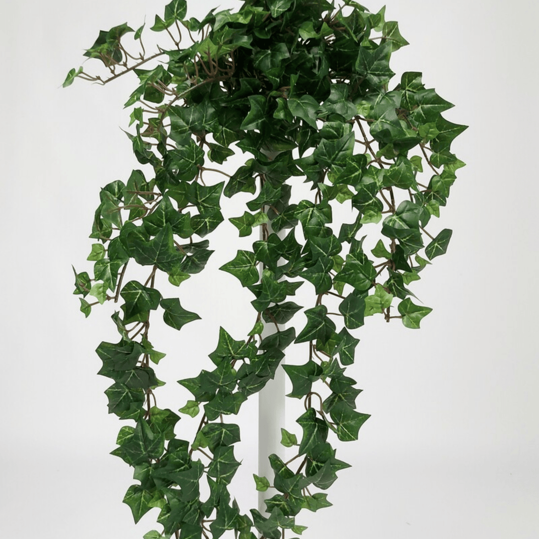 English Ivy Hanging Plant - Sutherland Interiors