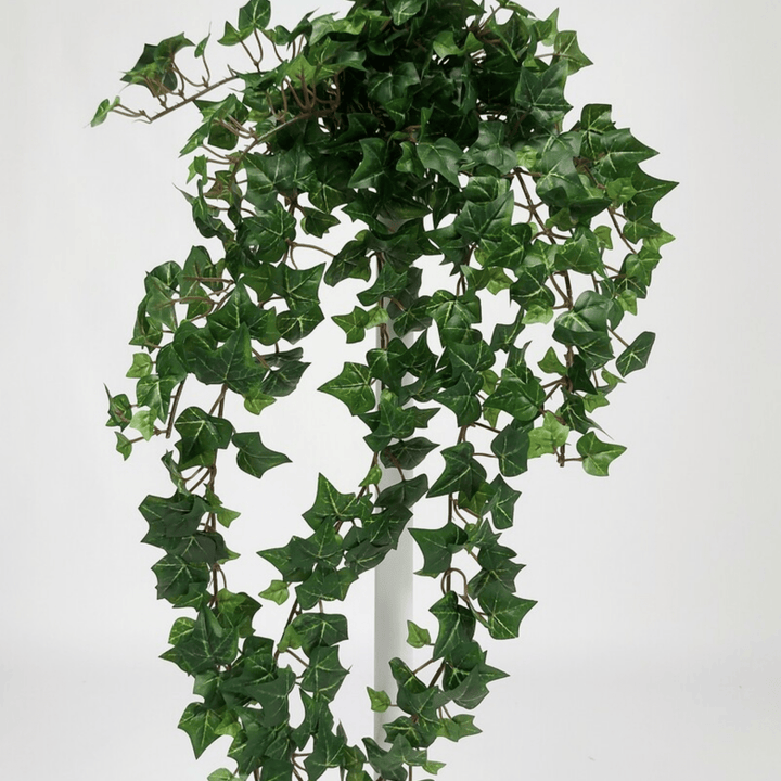 English Ivy Hanging Plant - Sutherland Interiors
