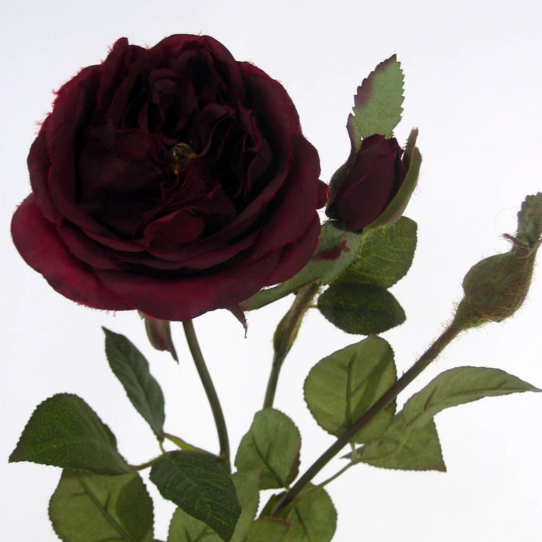 English Rose Burgundy - Sutherland Interiors