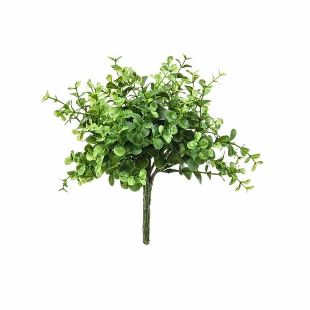 EUCALYPTUS BUSH - Sutherland Interiors