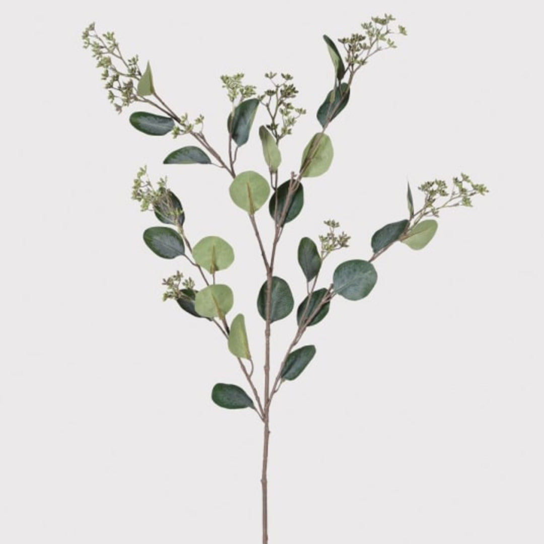 Eucalyptus Seeds Spray - Sutherland Interiors