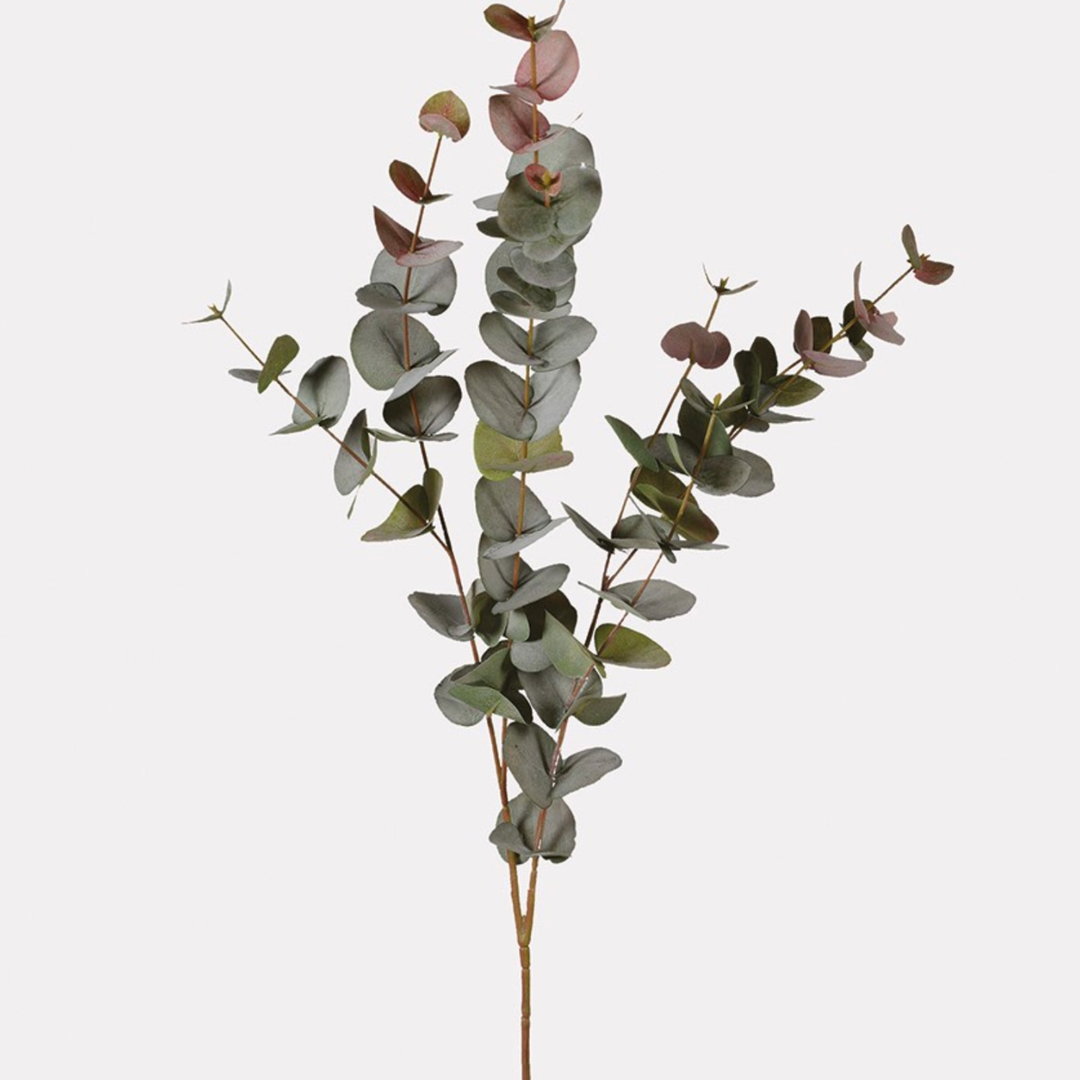 Large Natural Blush Eucalyptus Spray