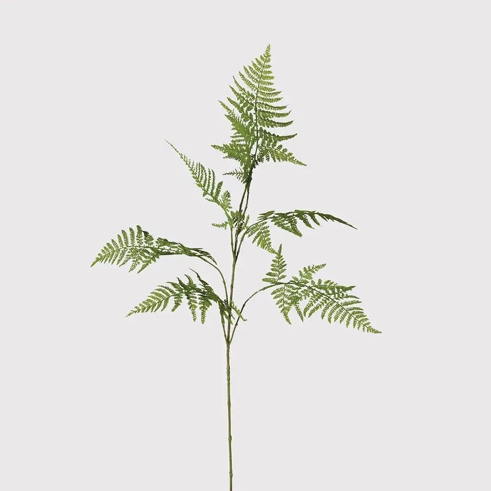 Faux Asparagus Fern Stem - Sutherland Interiors