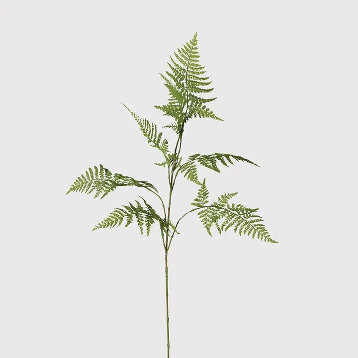 Faux Asparagus Fern Stem - Sutherland Interiors