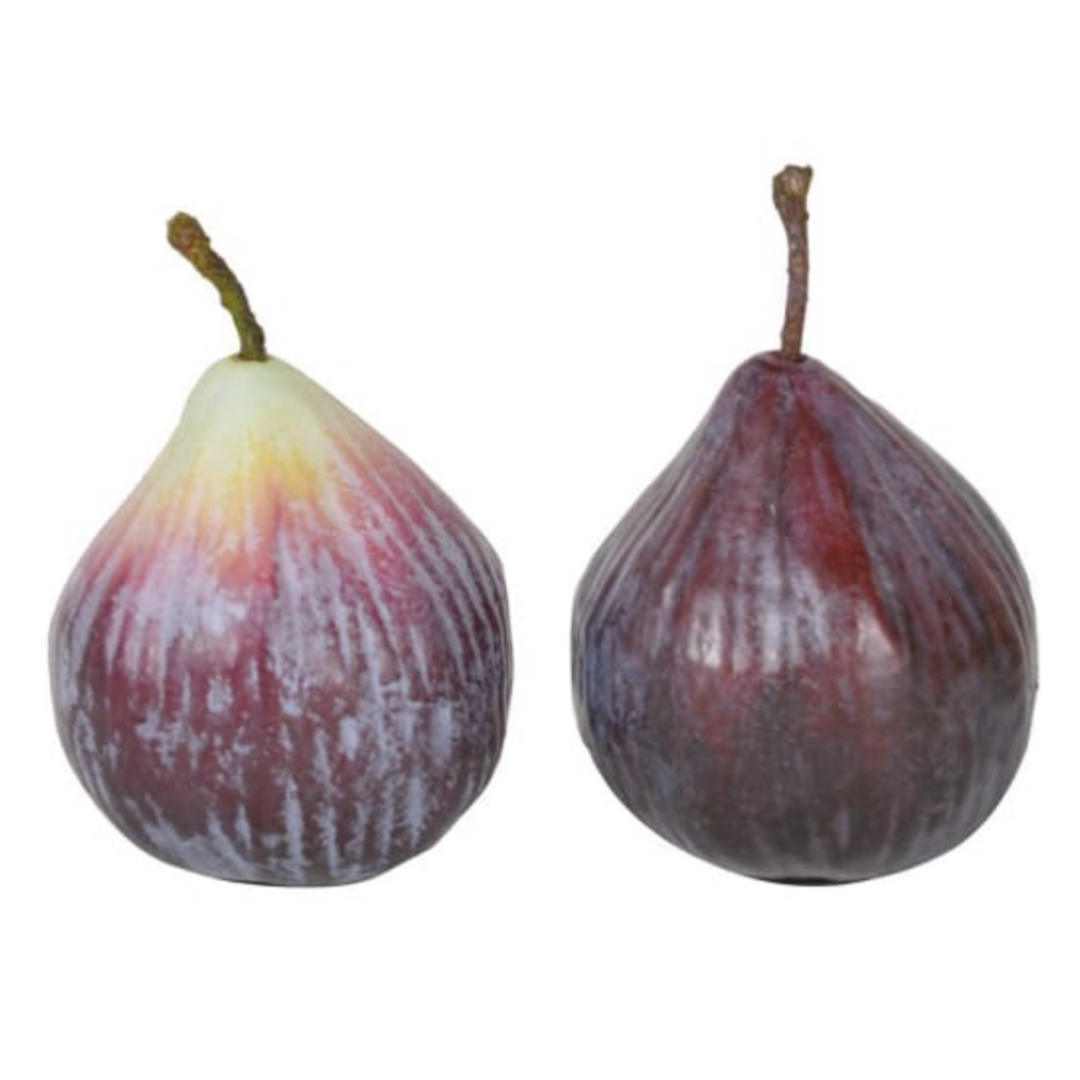 Decorative Fig
