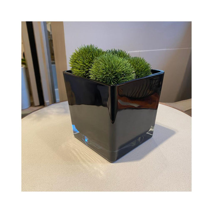 Glass Cube Vase - Black - Sutherland Interiors