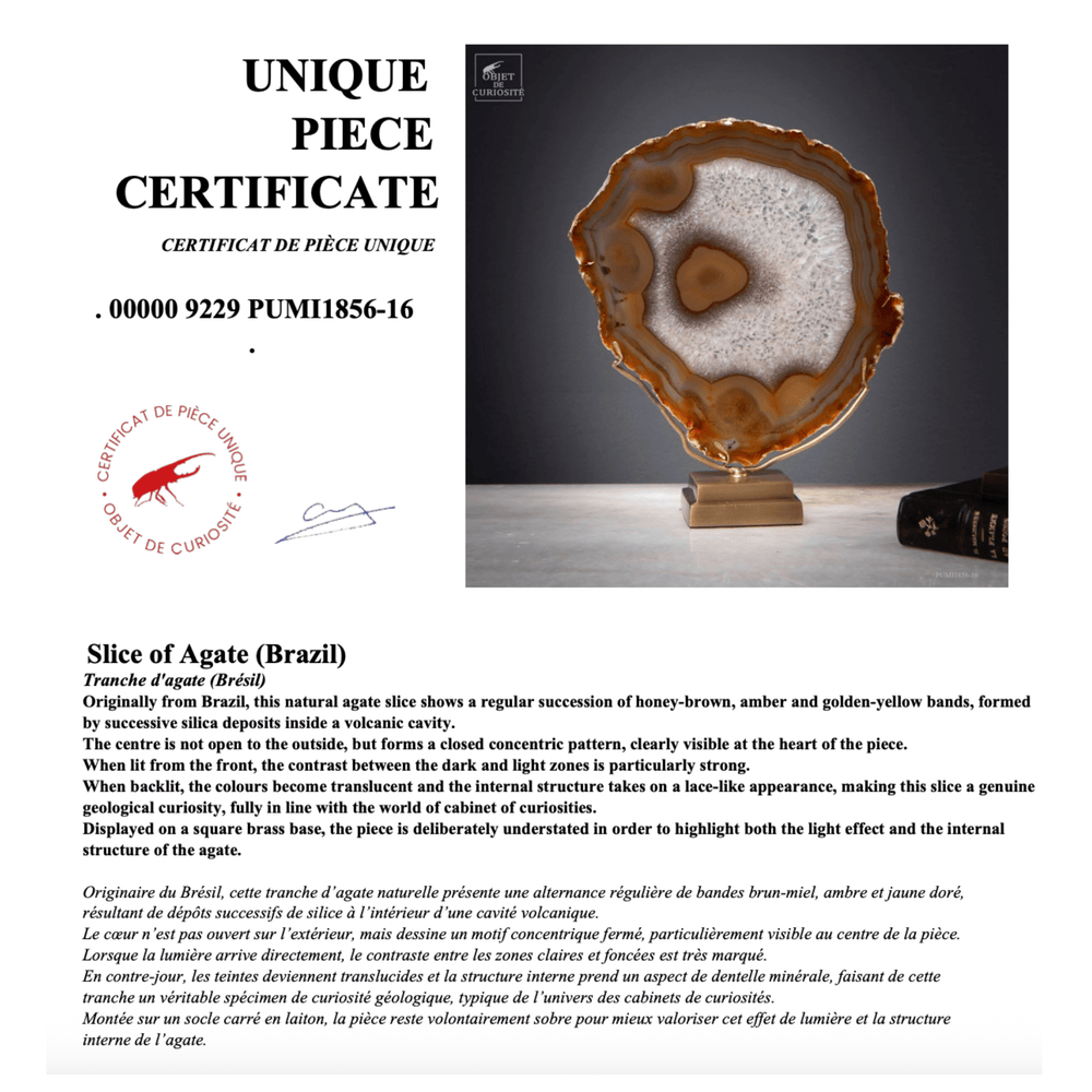 Gold Agate Slice - Sutherland Interiors