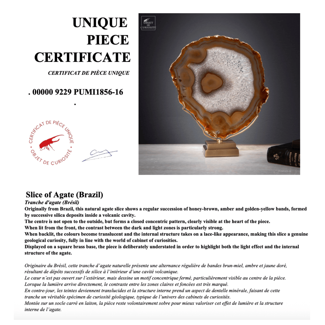 Gold Agate Slice - Sutherland Interiors