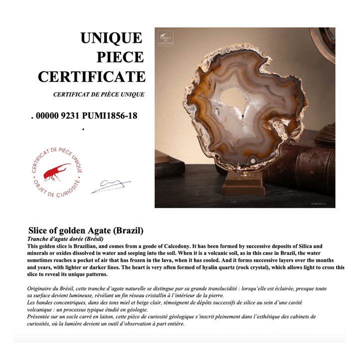 Gold Natural Agate - Sutherland Interiors