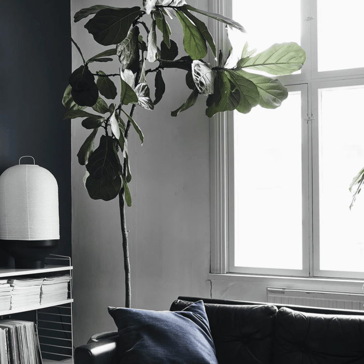 Green Home Book - Sutherland Interiors