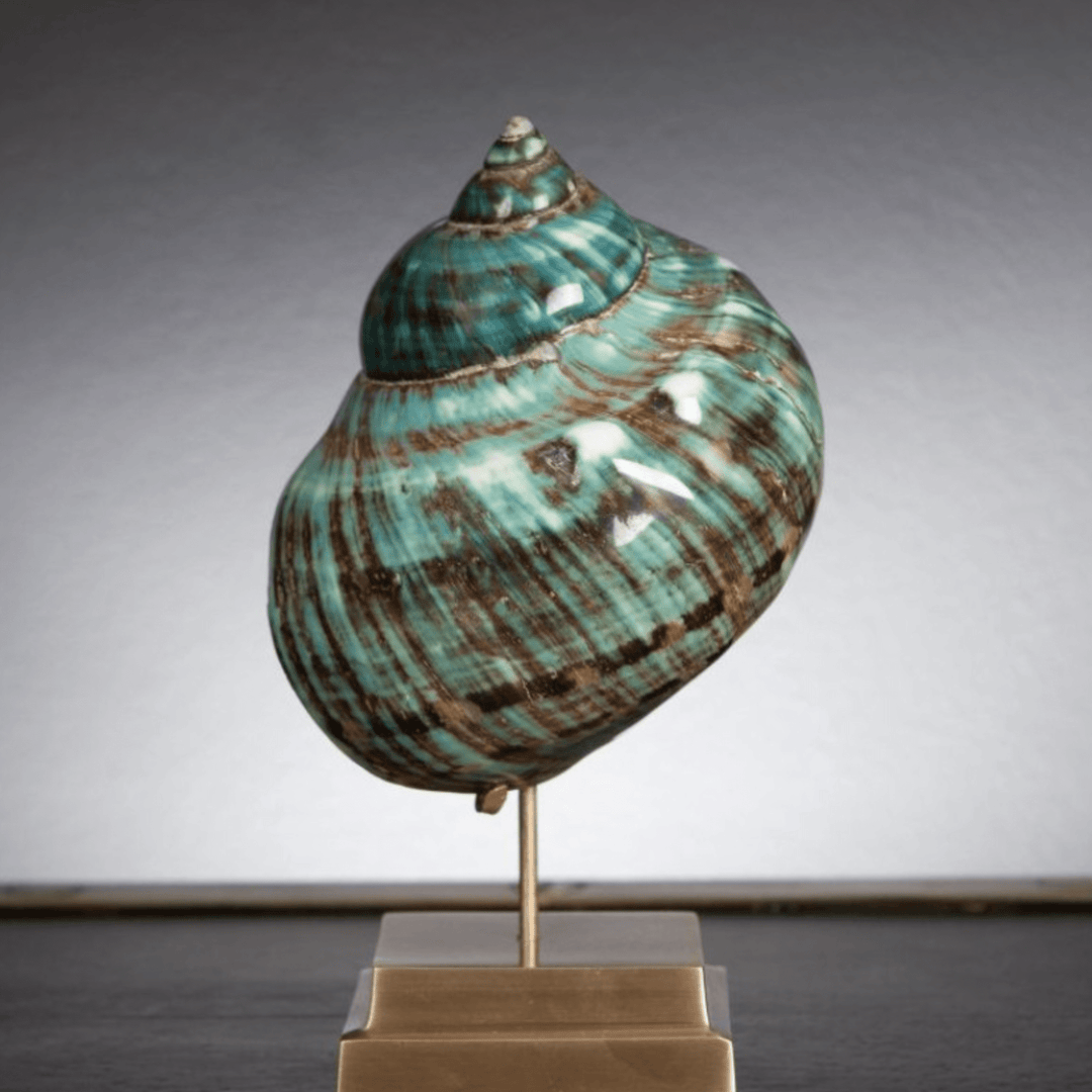 Green IMPERIALIS on Brass Stand - Sutherland Interiors