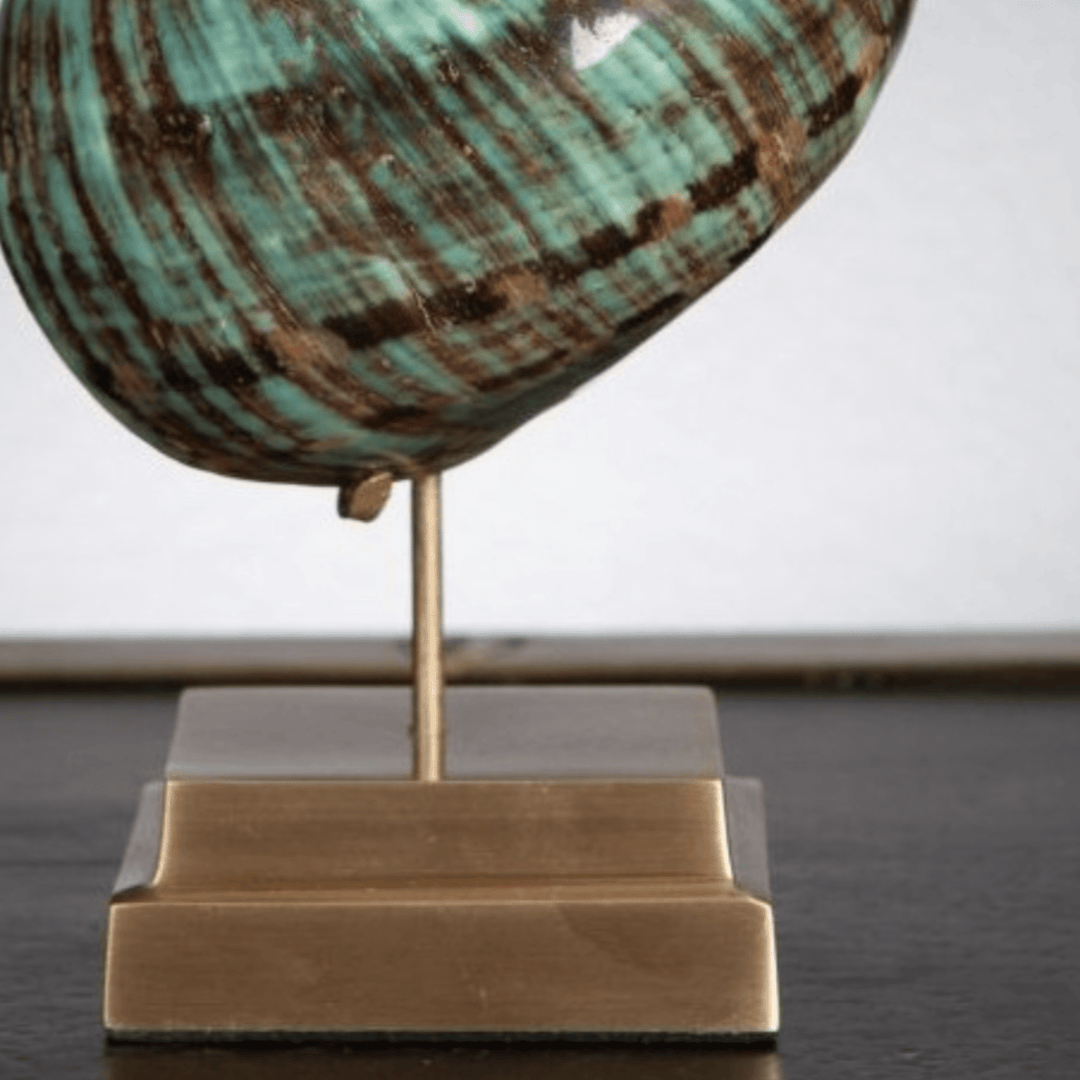 Green IMPERIALIS on Brass Stand - Sutherland Interiors