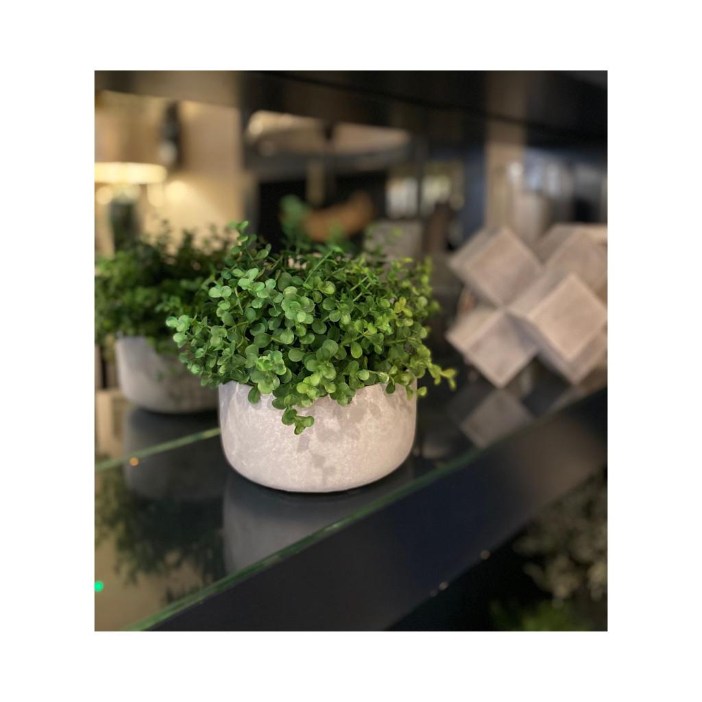Grey Cement Pot - S - Sutherland Interiors