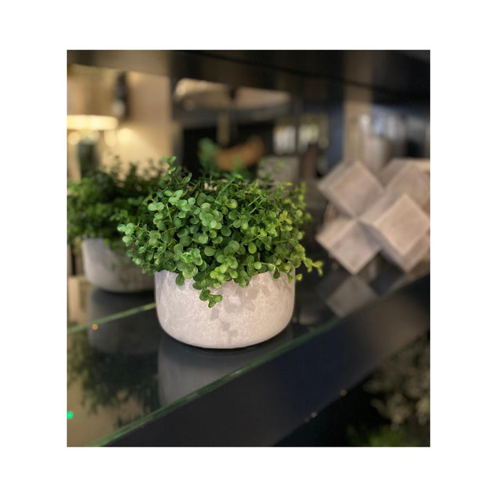 Grey Cement Pot - S - Sutherland Interiors