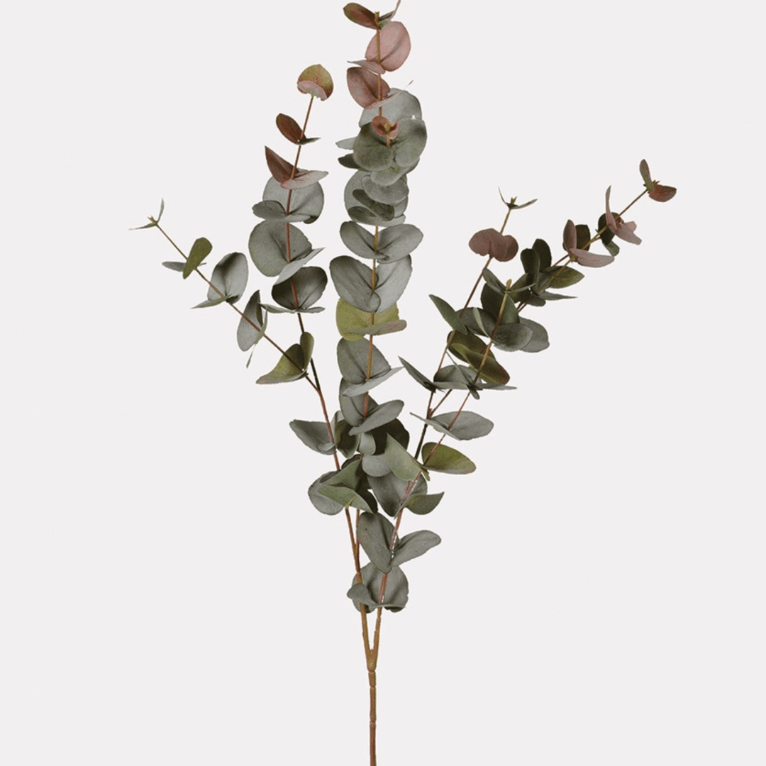 Large Natural Blush Eucalyptus Spray - Sutherland Interiors