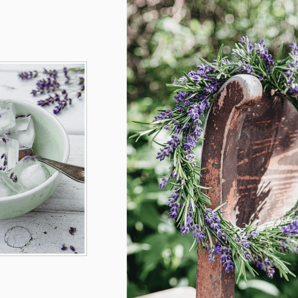 Living with Herbs Book - Sutherland Interiors