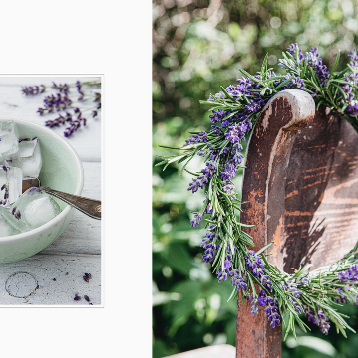 Living with Herbs Book