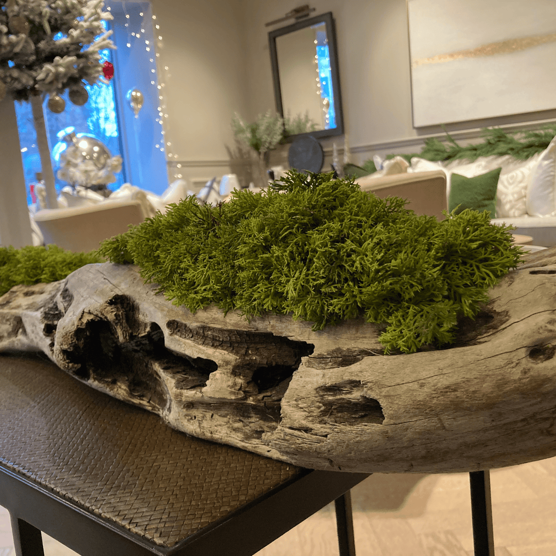Long driftwood piece filled with curly moss - Sutherland Interiors