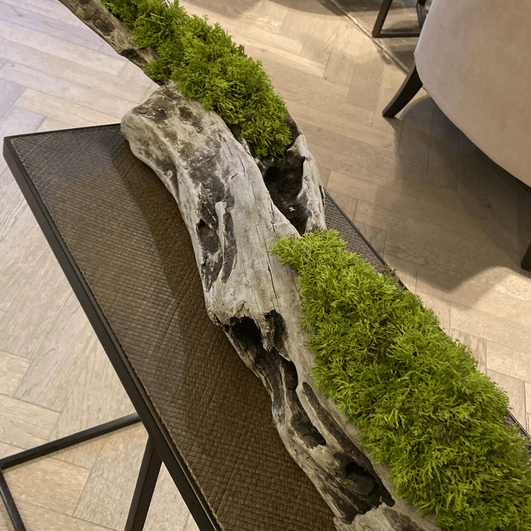 Long driftwood piece filled with curly moss - Sutherland Interiors