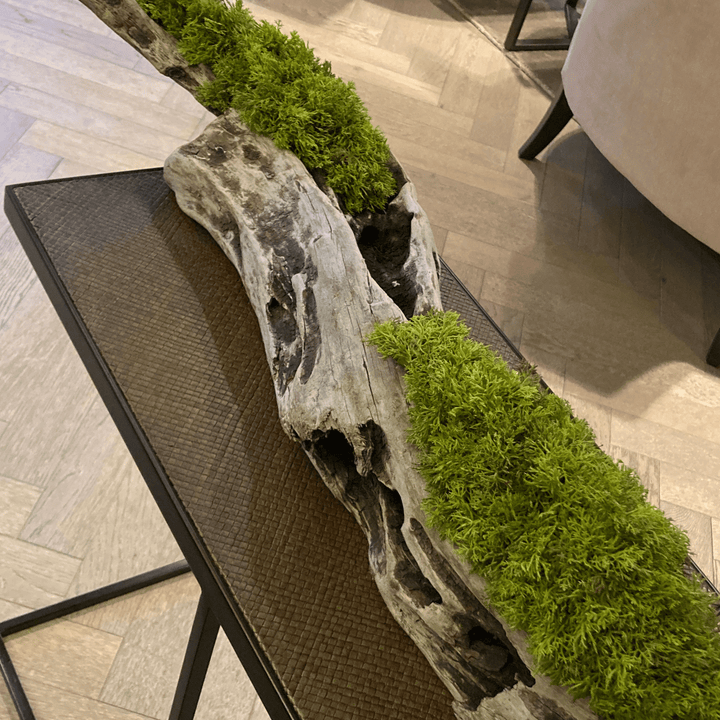 Long driftwood piece filled with curly moss - Sutherland Interiors