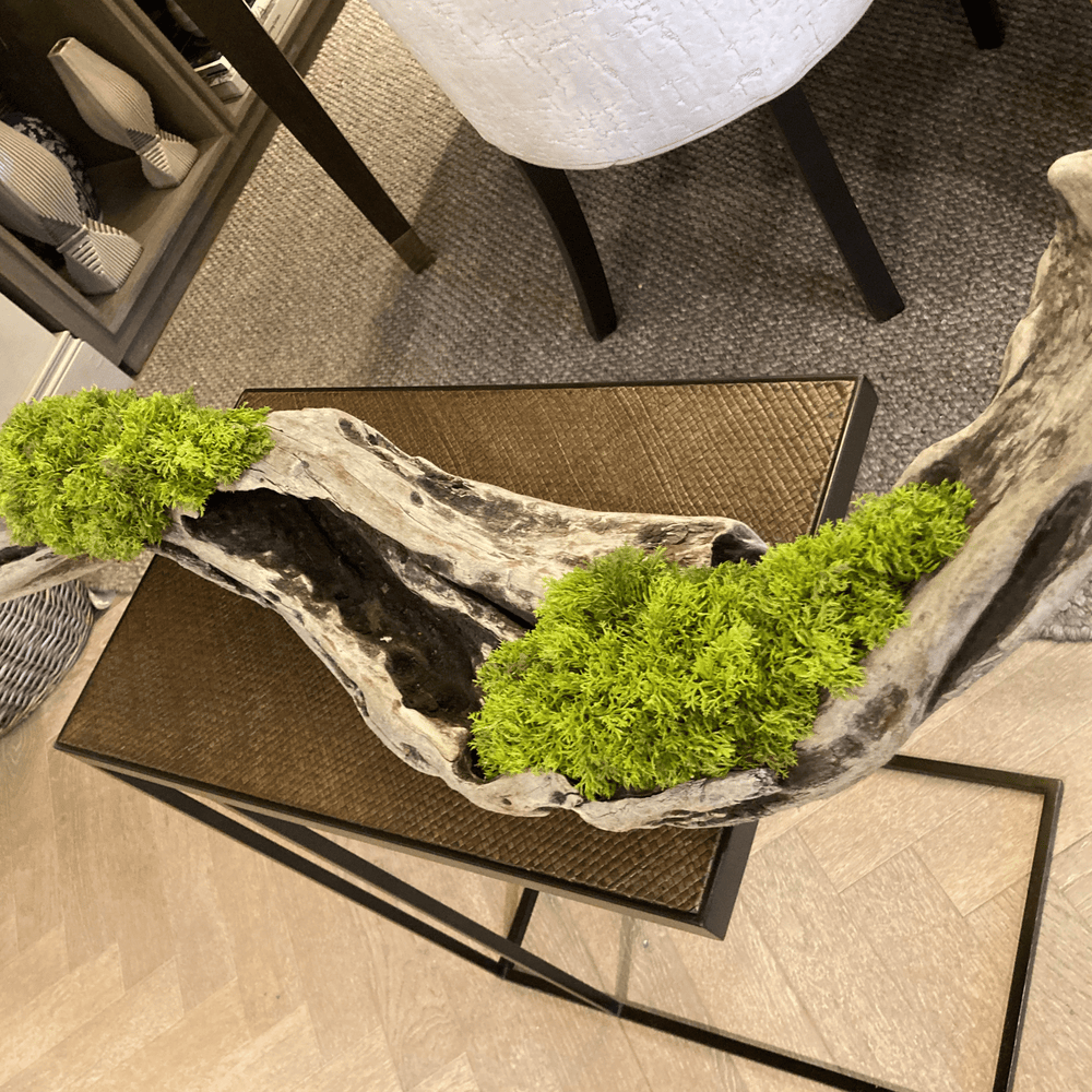 Long driftwood piece filled with curly moss - Sutherland Interiors