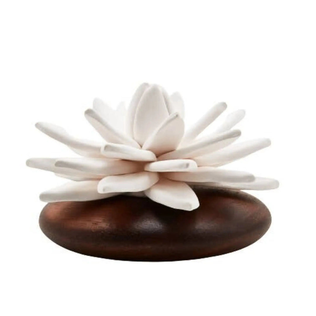 Lotus des Indes - Sutherland Interiors