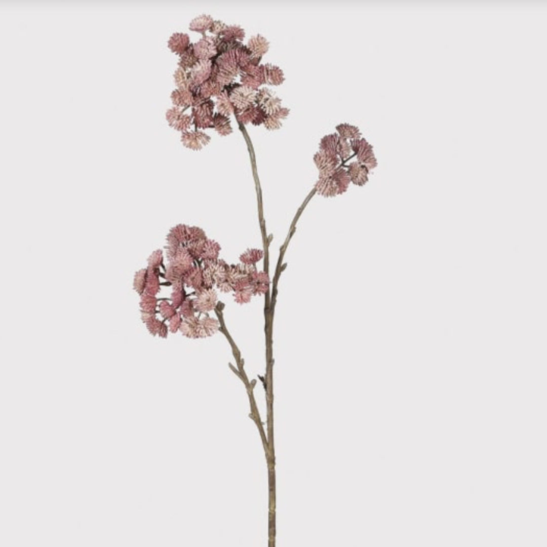 Mauve Sedum Spray