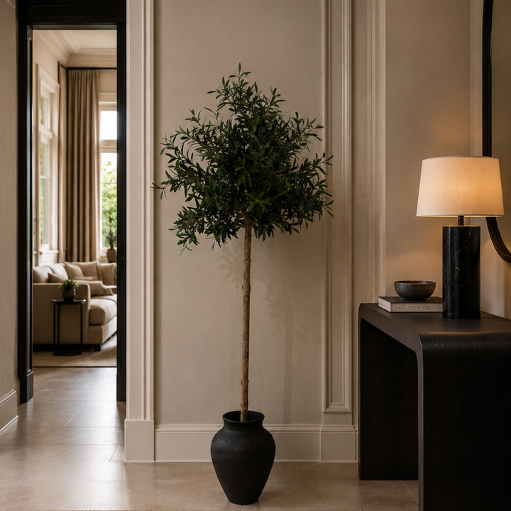 Mediterranean Olive Tree