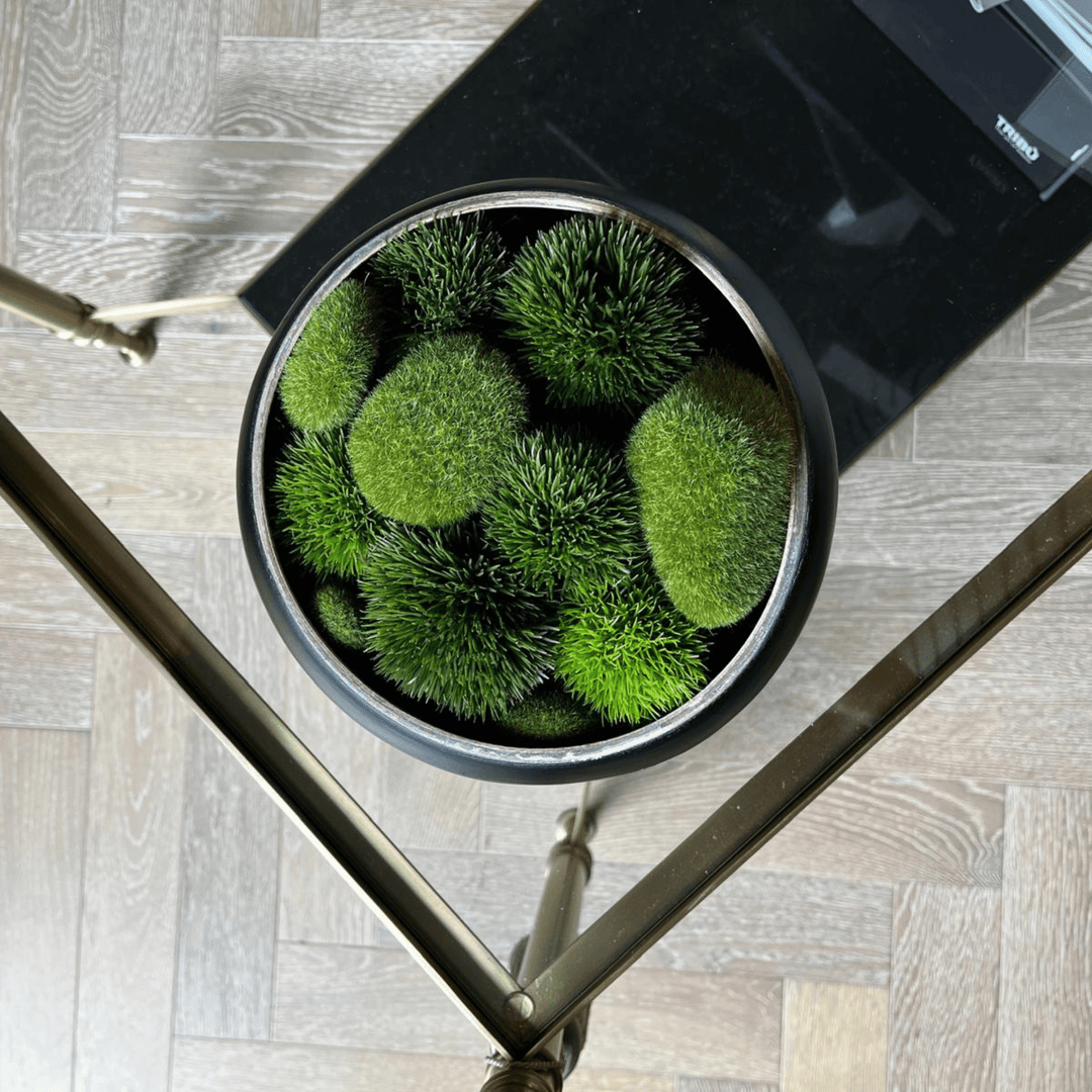 Moss Pod Decorative Bowl - Sutherland Interiors