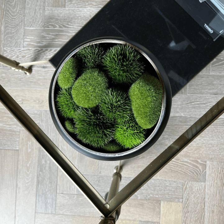 Moss Pod Decorative Bowl - Sutherland Interiors