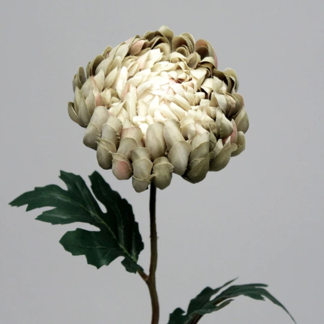 Mum Green with Leaf - Sutherland Interiors