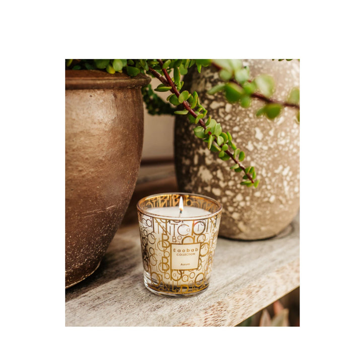 My First Baobab Aurum - Sutherland Interiors