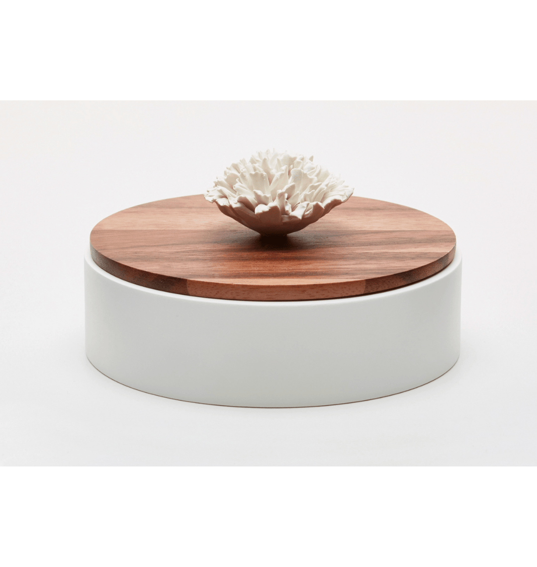 Nami Treasure Box - Sutherland Interiors