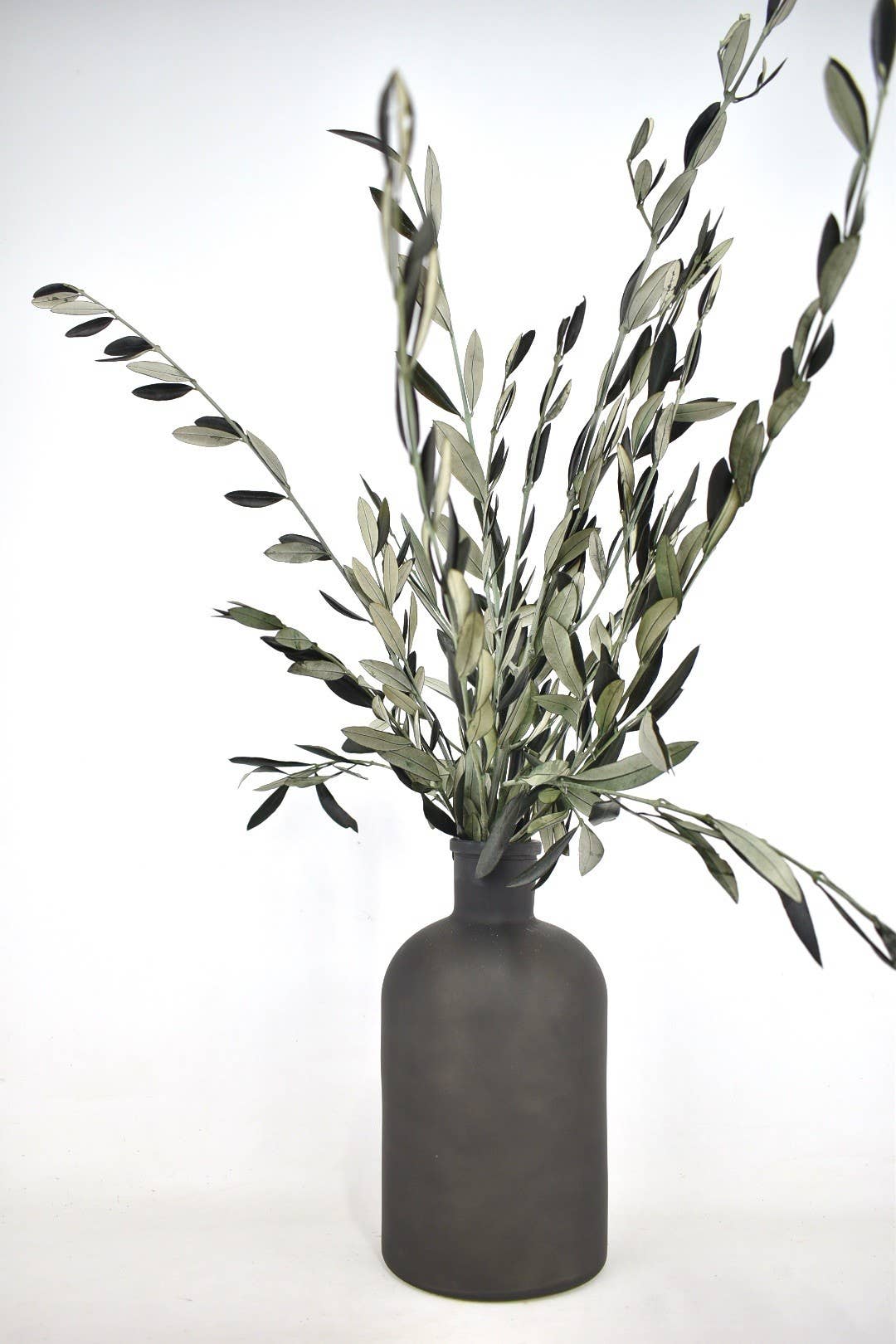 Natural Dried Olive Bunch - Sutherland Interiors