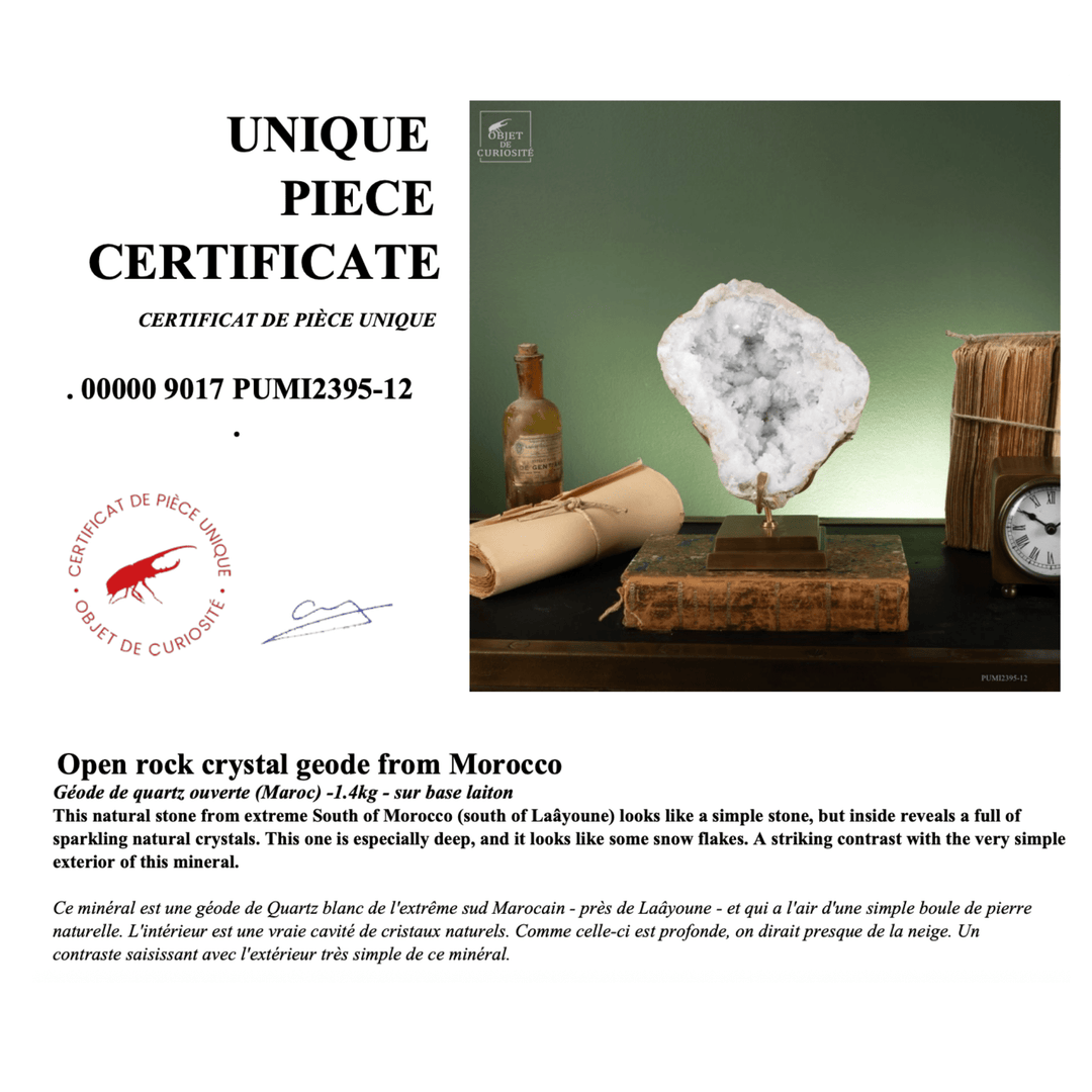 Natural Rock Geode - Sutherland Interiors