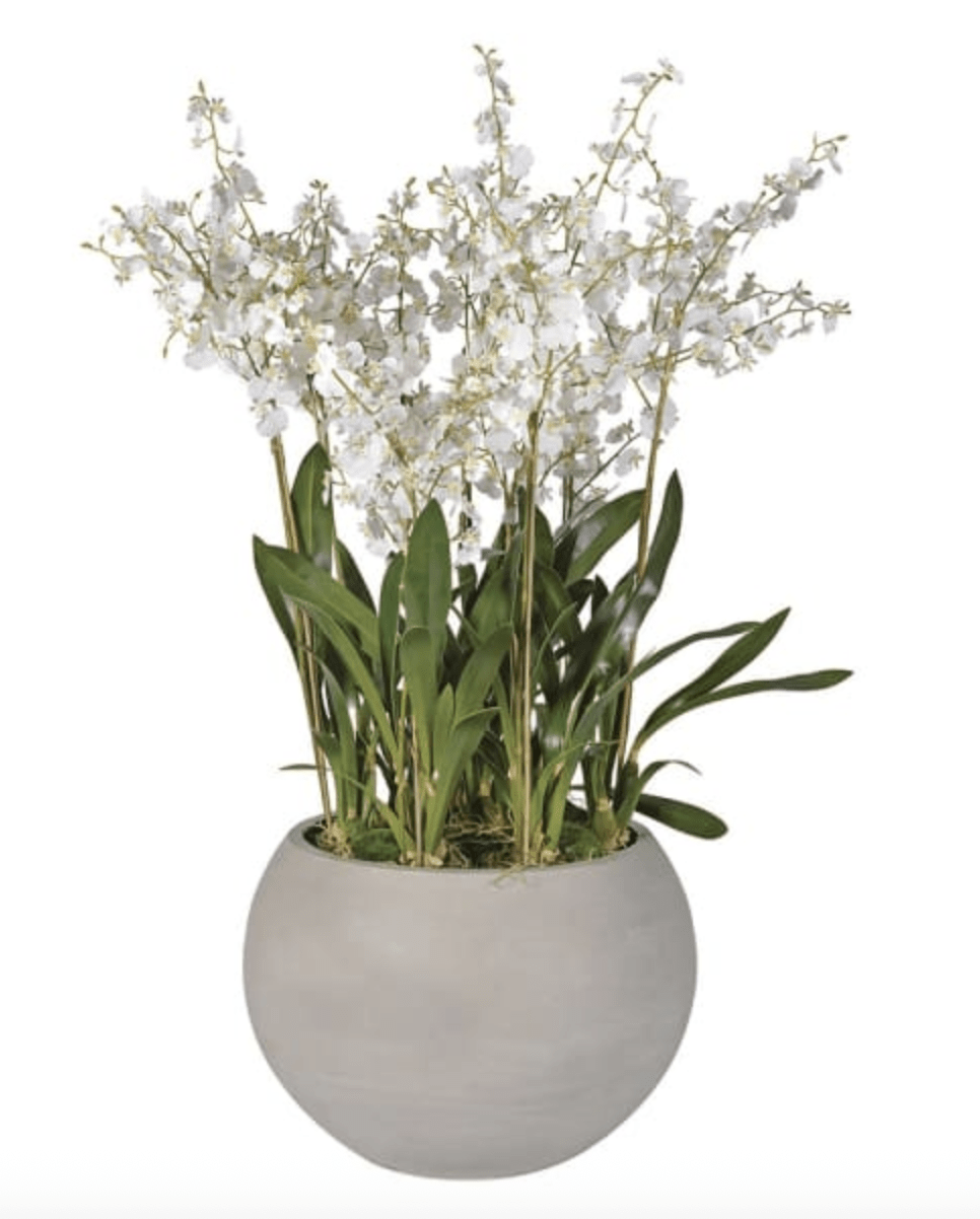 Orchid Grey Pot - Sutherland Interiors