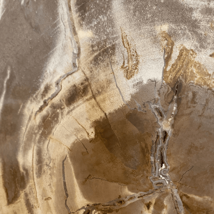 Petrified Slice of Wood - Sutherland Interiors
