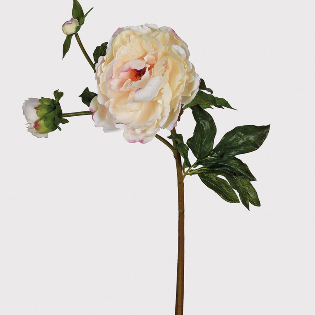 Real Feel Peony Stem