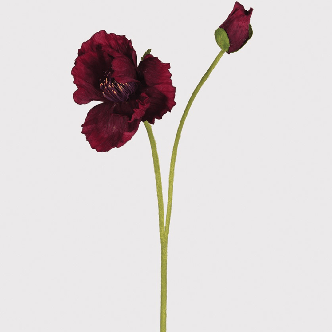 Ruby Poppy Stem - Sutherland Interiors
