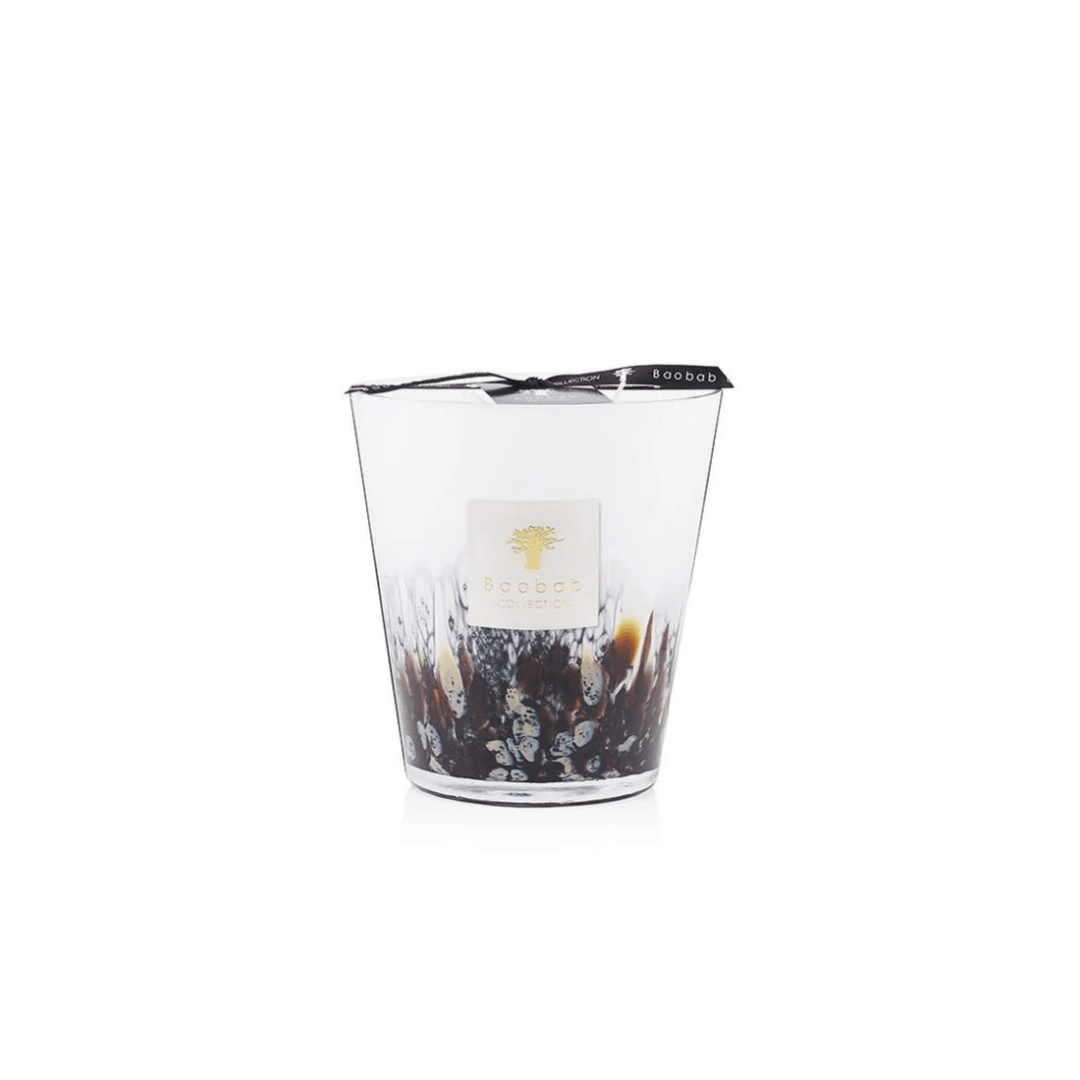 Scented Candle Rainforest Tanjung - Sutherland Interiors