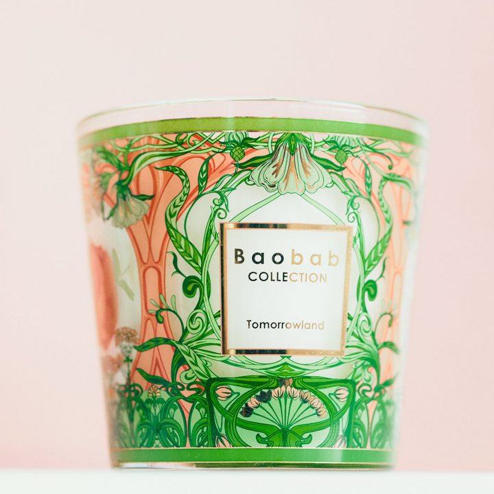 My First Baobab Tomorrowland