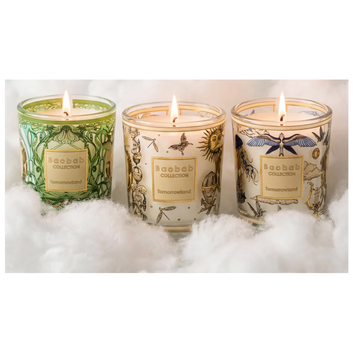 Baobab Trio Travel Candles – Tomorrowland