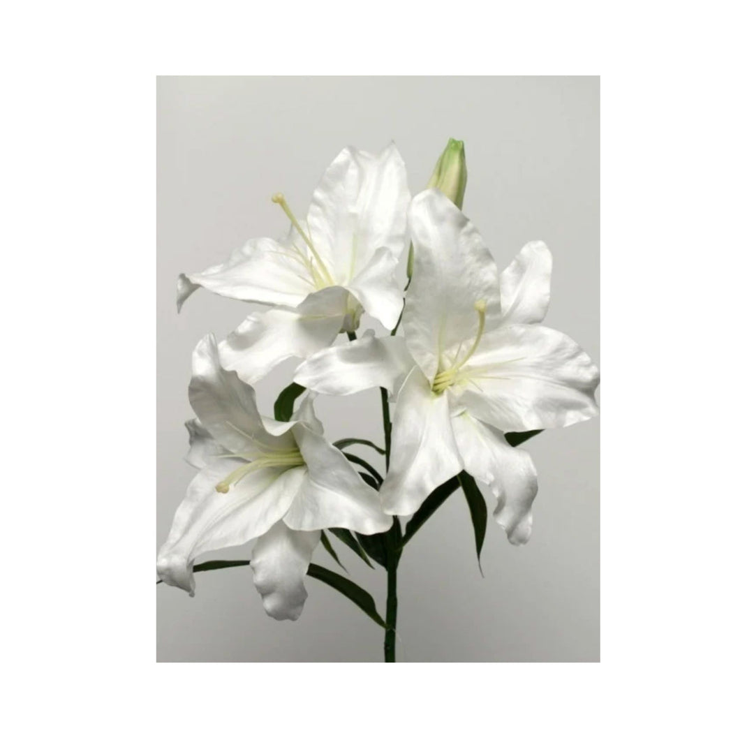 Casablanca White Lily x 3