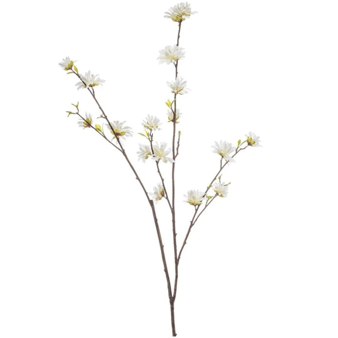 White Hamamelis Flowering Spray 110cm - Sutherland Interiors