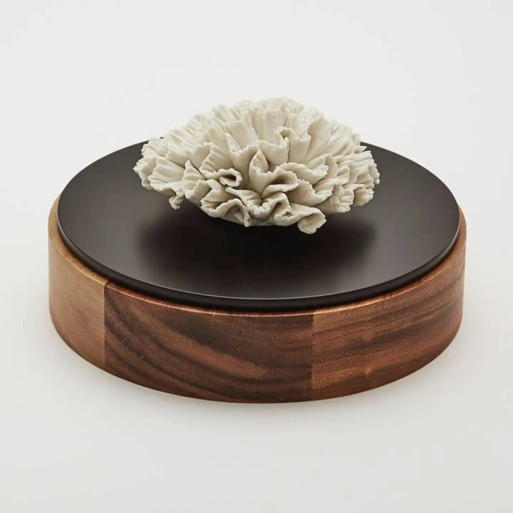 Wood and Porcelain Box - 20 cm - Chan Xl - Sutherland Interiors
