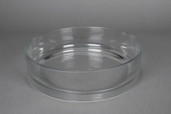 Glass Bowl - Large Flat