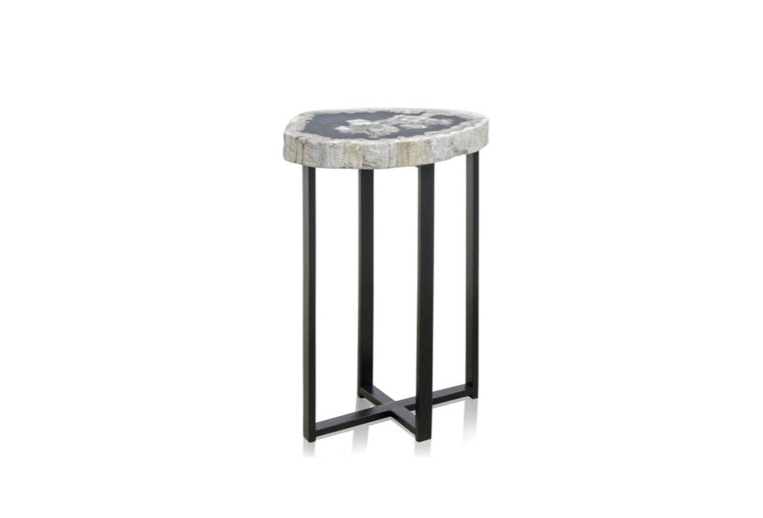 Petrified Wood Side Table