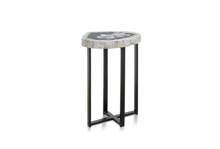 Petrified Wood Side Table