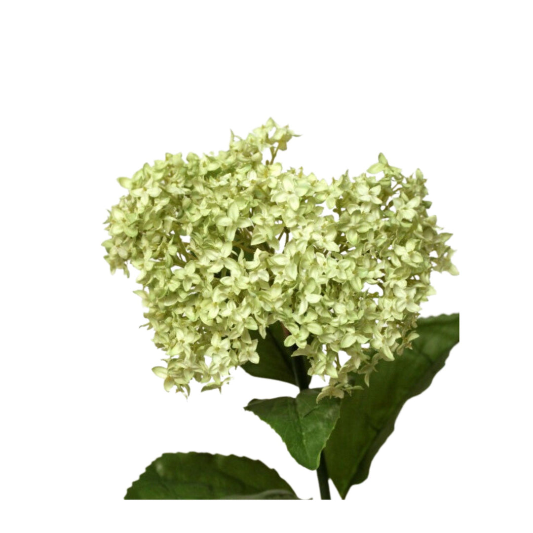 Hydrangea Green - 70cm